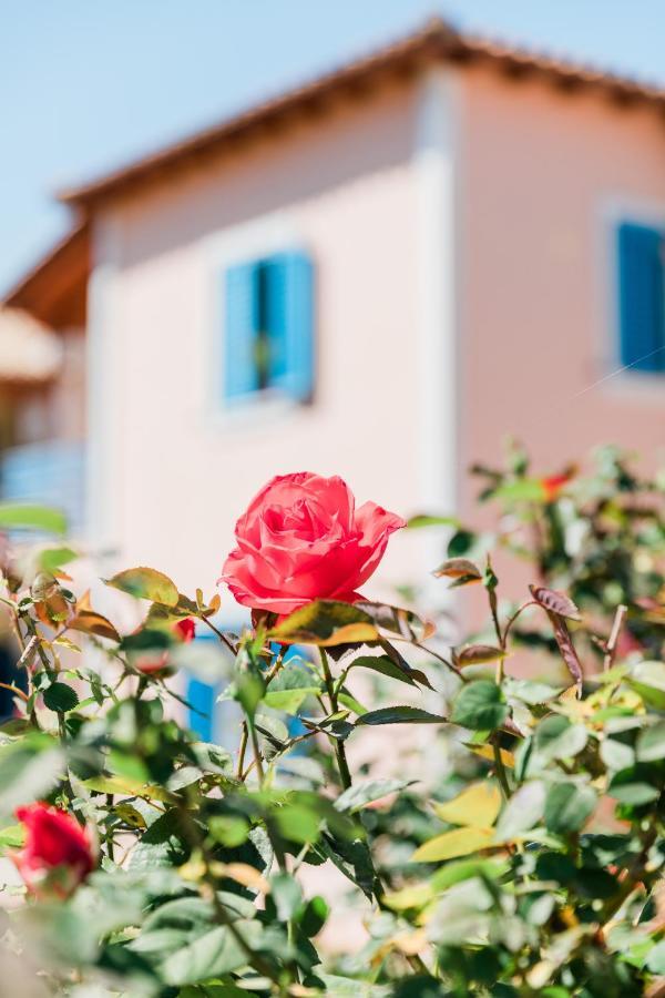 Alexandros Apartments Nydri Nydri (Lefkada) Exterior foto